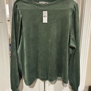 LOFT Sage Long Sleeve Velvet Top
